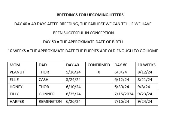 Current Breeding List