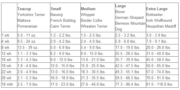 Staffordshire Bull Terrier Weight Chart