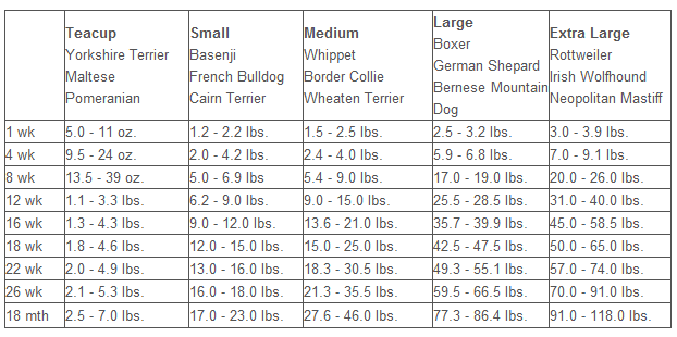 Weimaraner Puppy Growth Chart