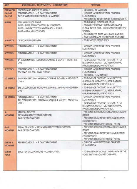 What is a typical puppy vaccine schedule?