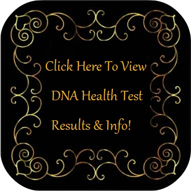 View DNA Health Test Results 