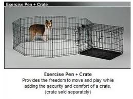 french bulldog crate training