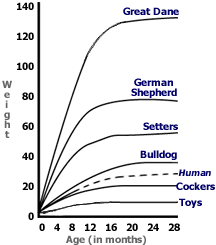 large breed dog weight chart